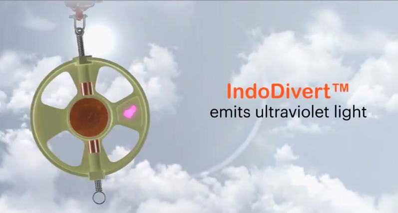 Bird Diverter - IndoDivert